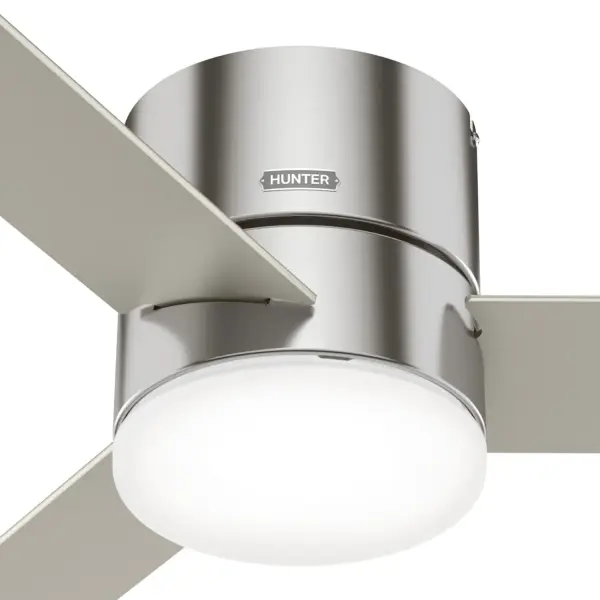 The Ceiling Fans by Hunter - Image 38
