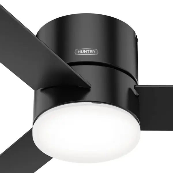 The Ceiling Fans by Hunter - Image 39