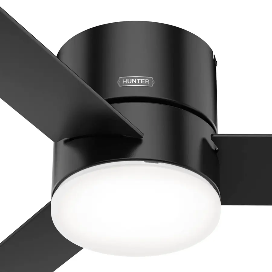 The Ceiling Fans by Hunter - Image 39