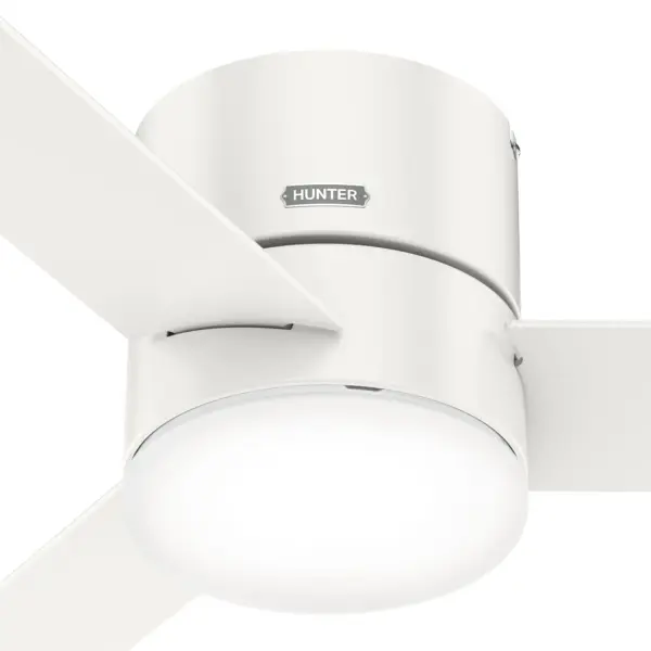 The Ceiling Fans by Hunter - Image 40