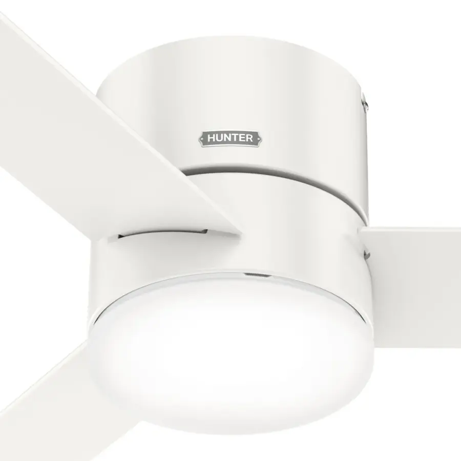 The Ceiling Fans by Hunter - Image 40