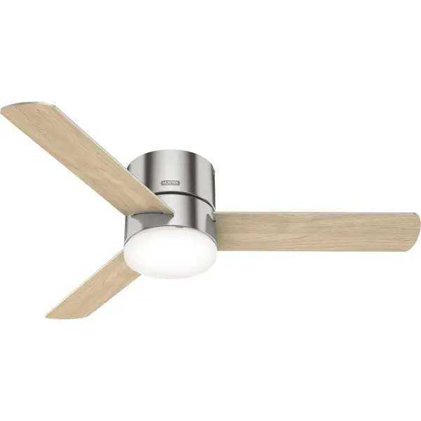 The Ceiling Fans by Hunter - Image 41