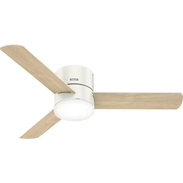 The Ceiling Fans by Hunter - Image 43