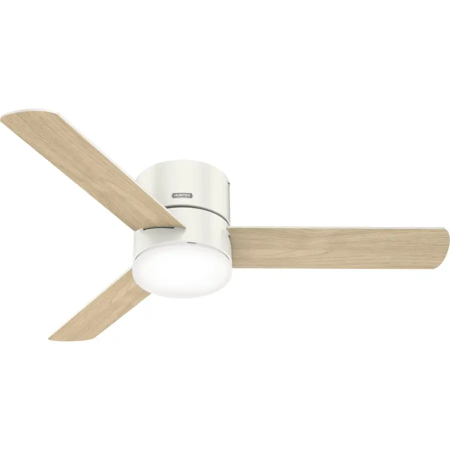 The Ceiling Fans by Hunter - Image 43
