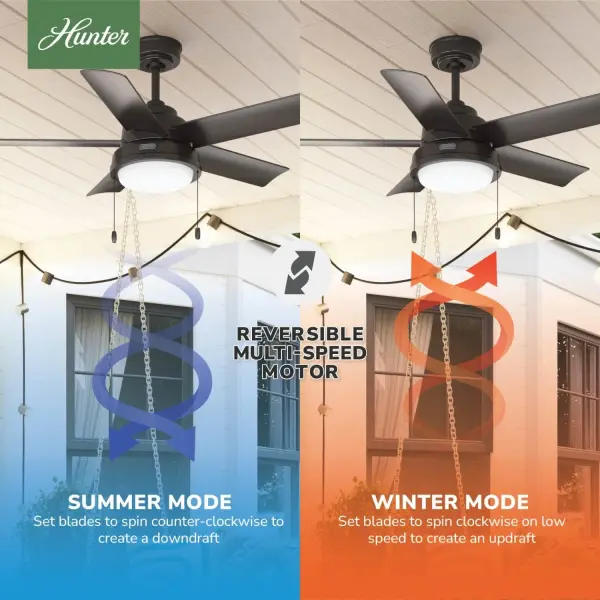 The Ceiling Fans by Hunter - Image 13