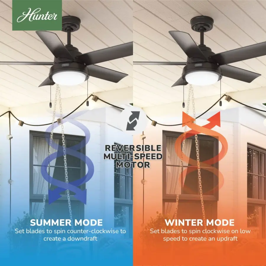 The Ceiling Fans by Hunter - Image 13