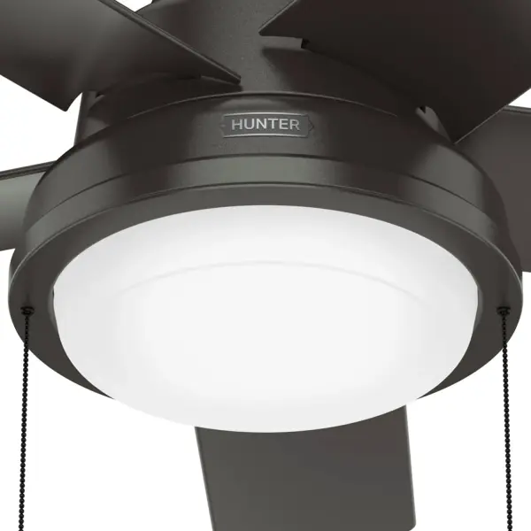 The Ceiling Fans by Hunter - Image 19
