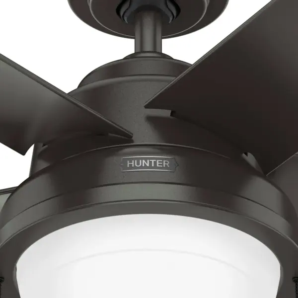 The Ceiling Fans by Hunter - Image 23