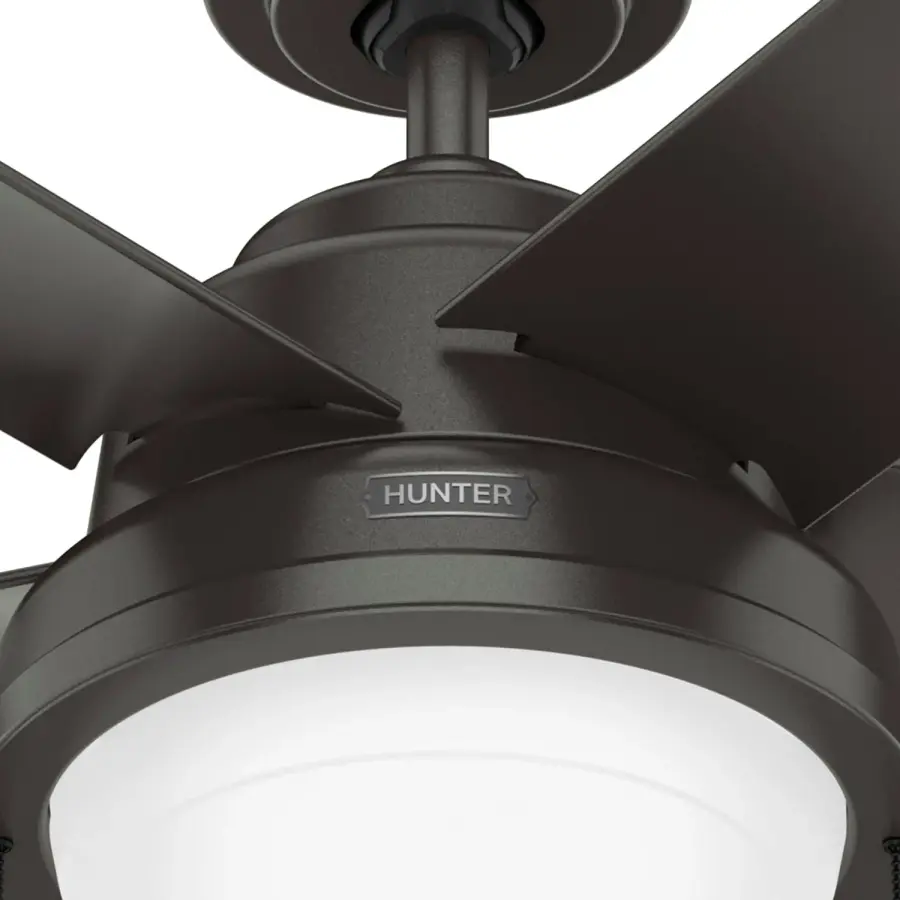 The Ceiling Fans by Hunter - Image 23