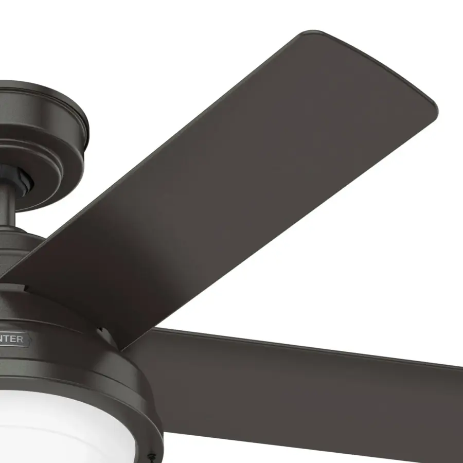The Ceiling Fans by Hunter - Image 27