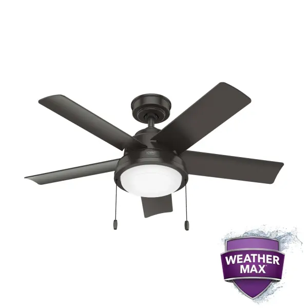 The Ceiling Fans by Hunter - Image 29