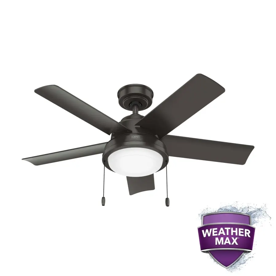 The Ceiling Fans by Hunter - Image 29