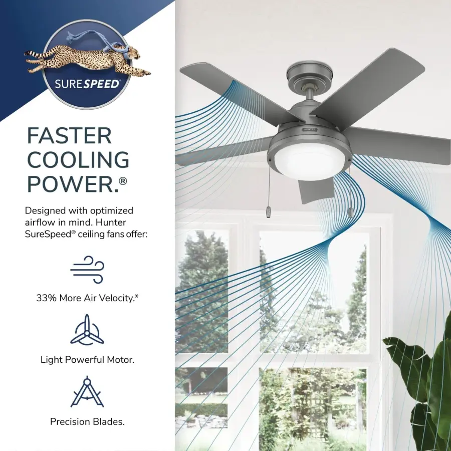 The Ceiling Fans by Hunter - Image 31