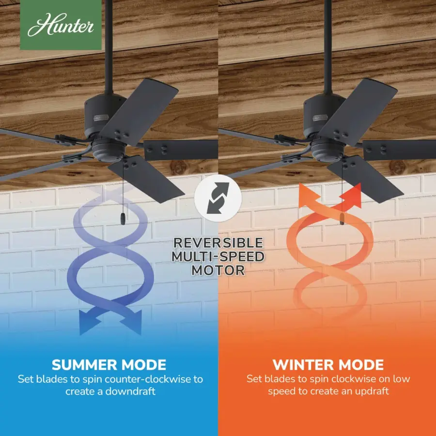 The Ceiling Fans by Hunter - Image 12