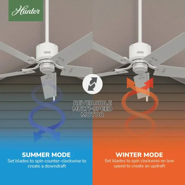 The Ceiling Fans by Hunter - Image 13