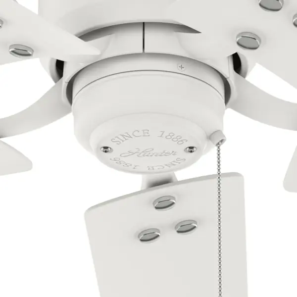 The Ceiling Fans by Hunter - Image 19