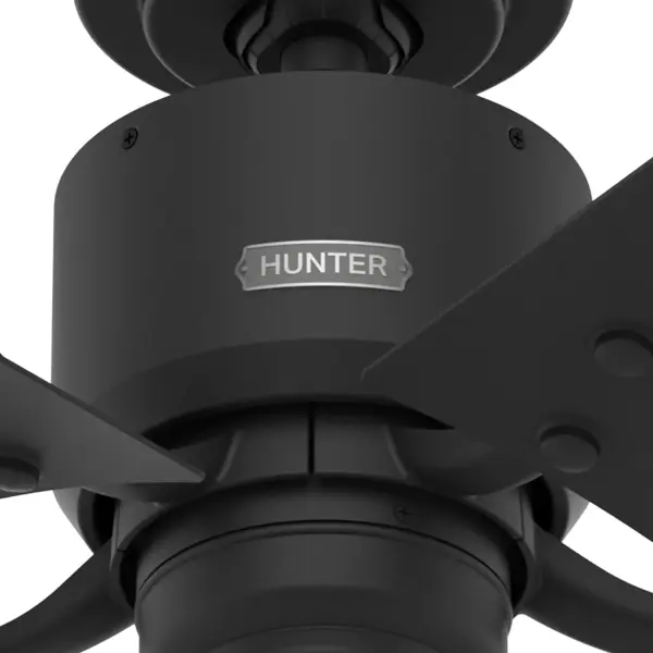The Ceiling Fans by Hunter - Image 22