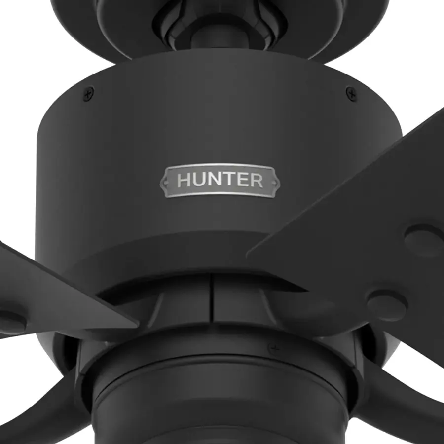 The Ceiling Fans by Hunter - Image 22