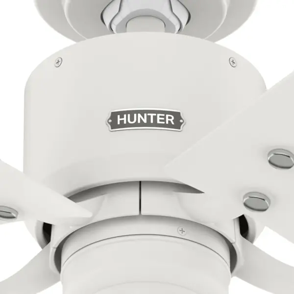 The Ceiling Fans by Hunter - Image 23