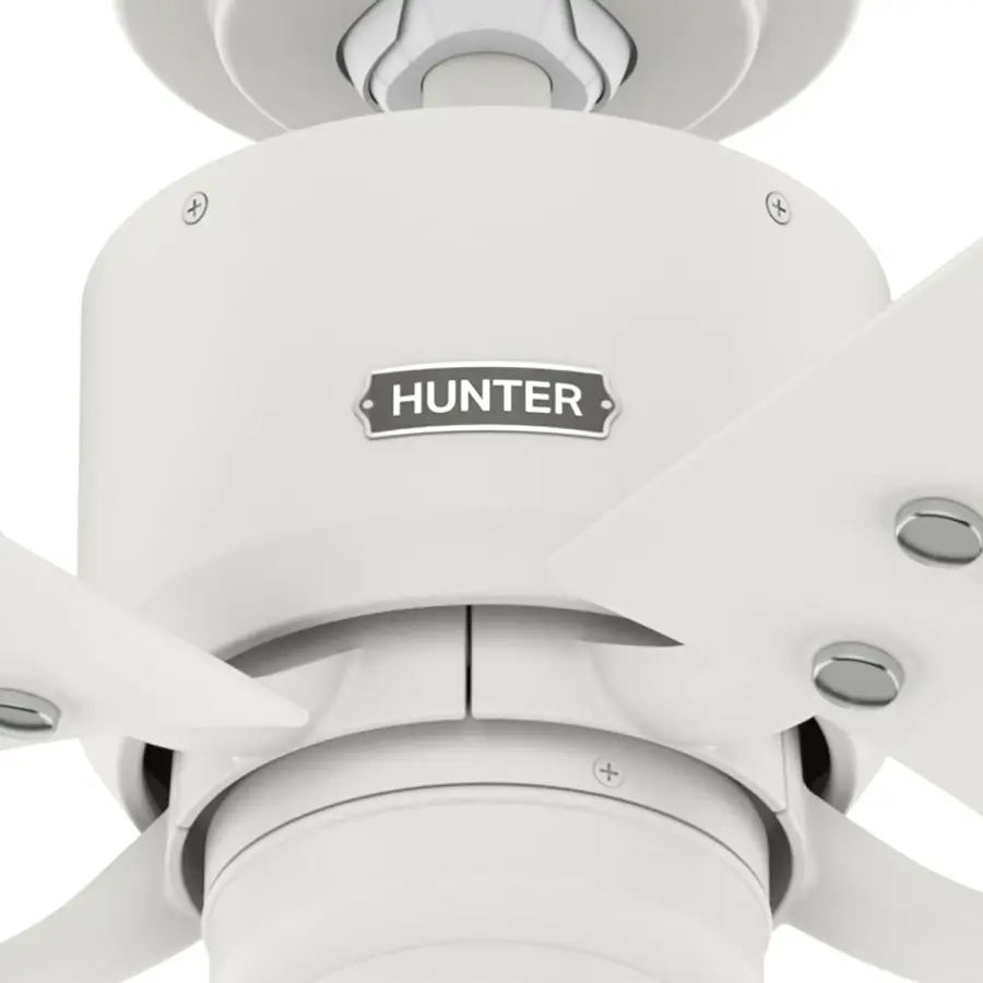 The Ceiling Fans by Hunter - Image 23