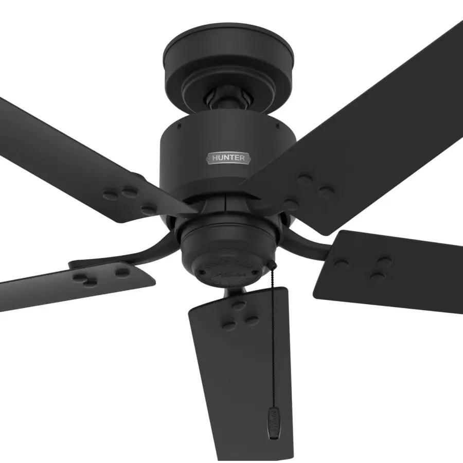 The Ceiling Fans by Hunter - Image 24
