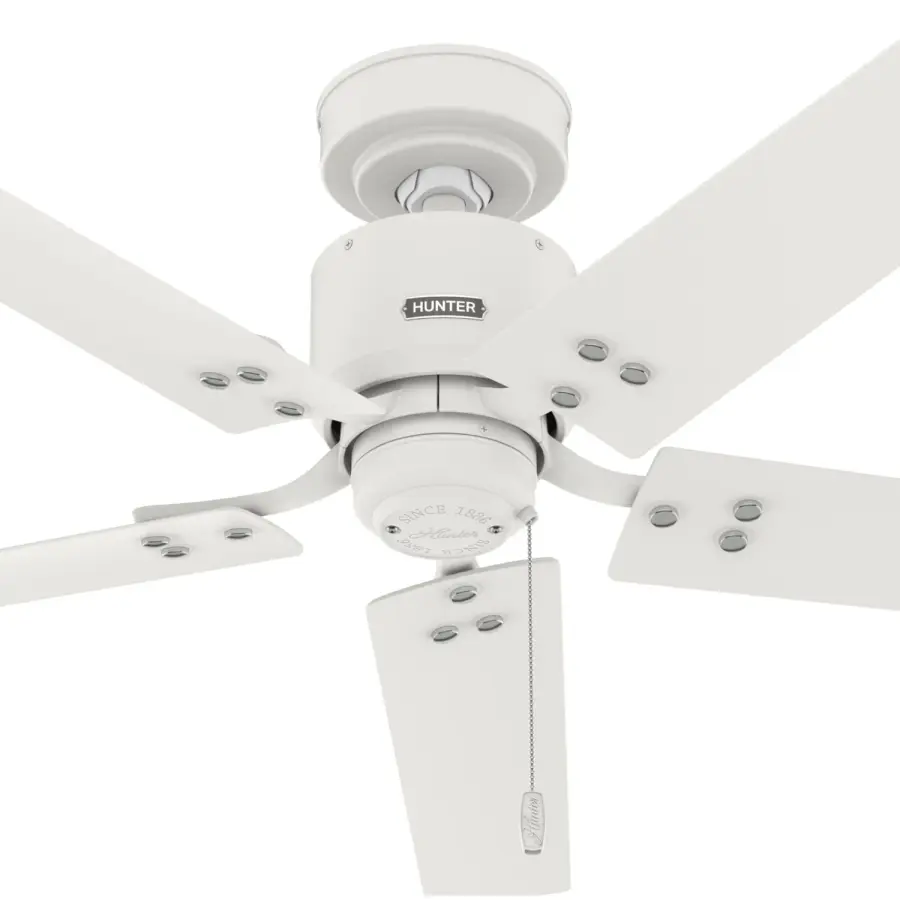 The Ceiling Fans by Hunter - Image 25