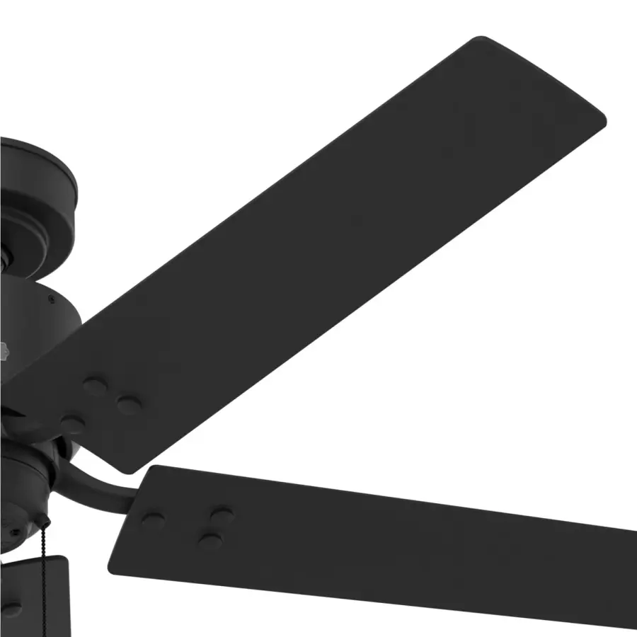 The Ceiling Fans by Hunter - Image 26