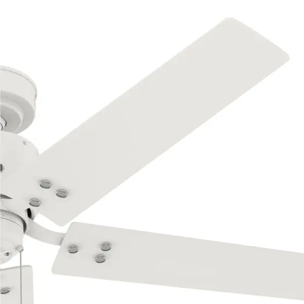 The Ceiling Fans by Hunter - Image 27