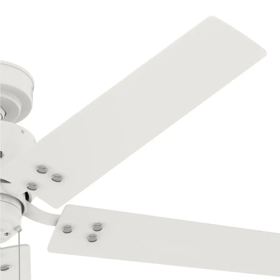 The Ceiling Fans by Hunter - Image 27