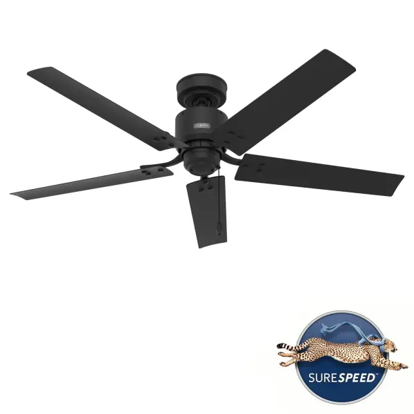 The Ceiling Fans by Hunter - Image 28