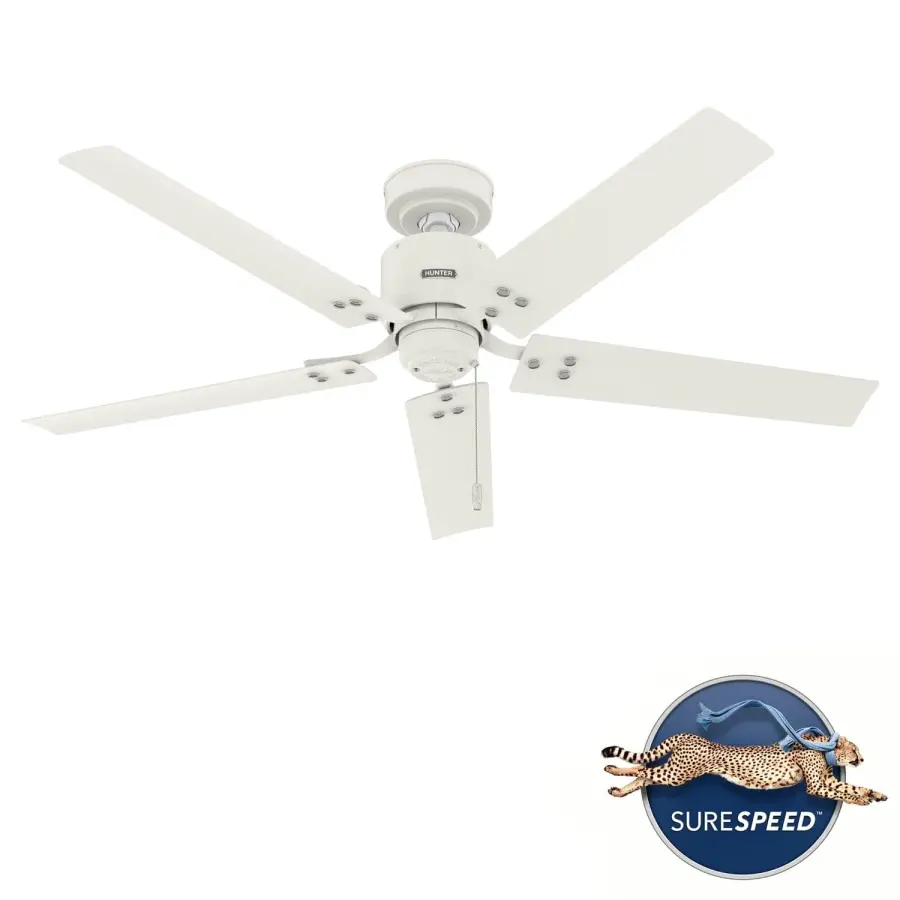 The Ceiling Fans by Hunter - Image 29