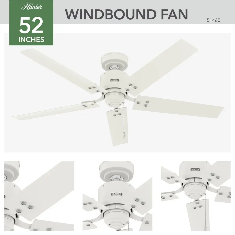The Ceiling Fans by Hunter - Image 4