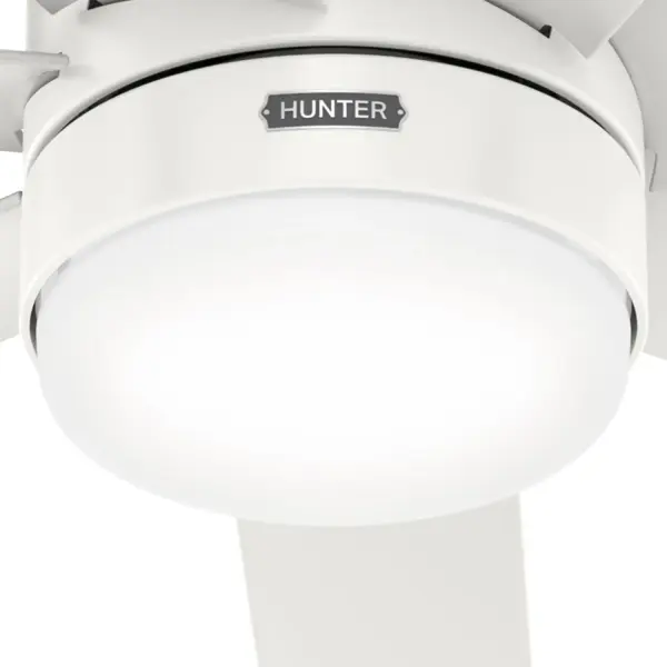 Brazos Outdoor ENERGY STAR with LED Light 52 inch - Image 30