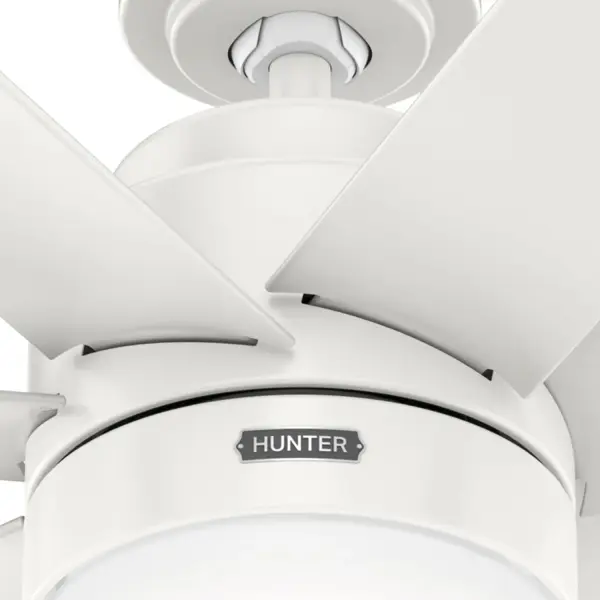 Brazos Outdoor ENERGY STAR with LED Light 52 inch - Image 36