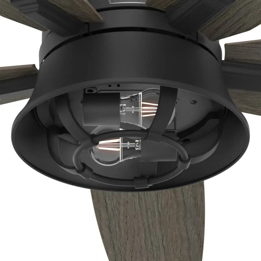 The Ceiling Fans by Hunter - Image 19