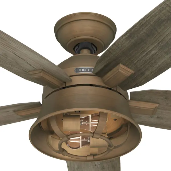 The Ceiling Fans by Hunter - Image 24