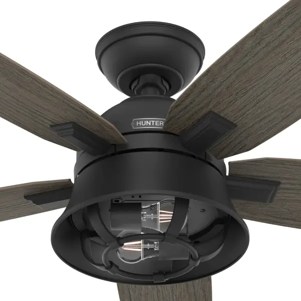 The Ceiling Fans by Hunter - Image 25