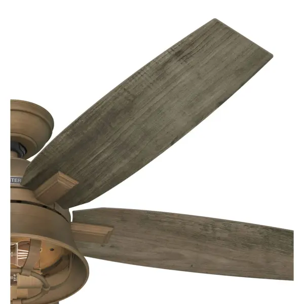The Ceiling Fans by Hunter - Image 26