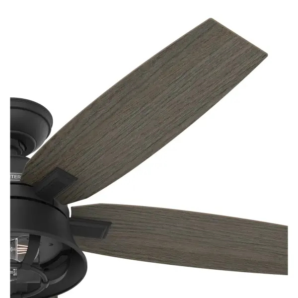 The Ceiling Fans by Hunter - Image 27
