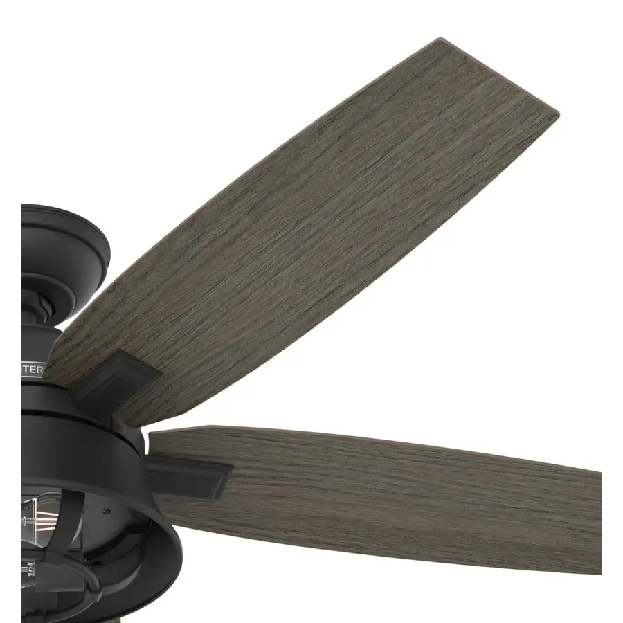 The Ceiling Fans by Hunter - Image 27