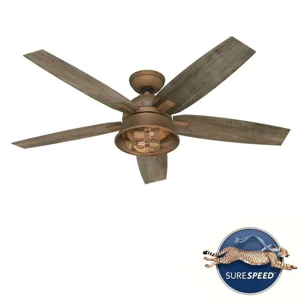 The Ceiling Fans by Hunter - Image 28