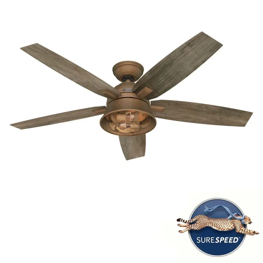 The Ceiling Fans by Hunter - Image 28