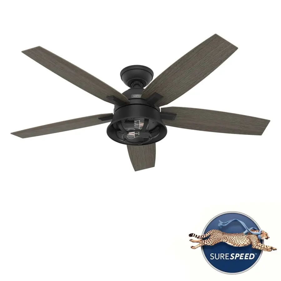 The Ceiling Fans by Hunter - Image 29