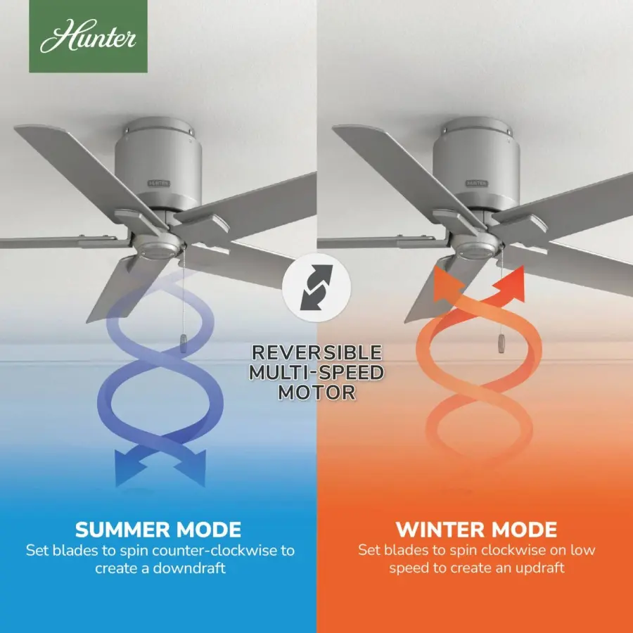 The Ceiling Fans by Hunter - Image 12