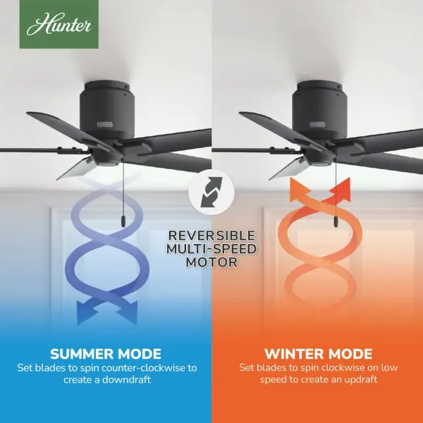 The Ceiling Fans by Hunter - Image 13