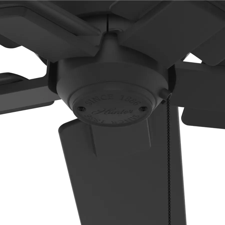 The Ceiling Fans by Hunter - Image 19