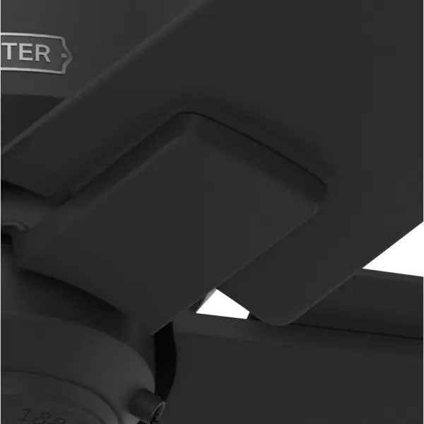 The Ceiling Fans by Hunter - Image 21