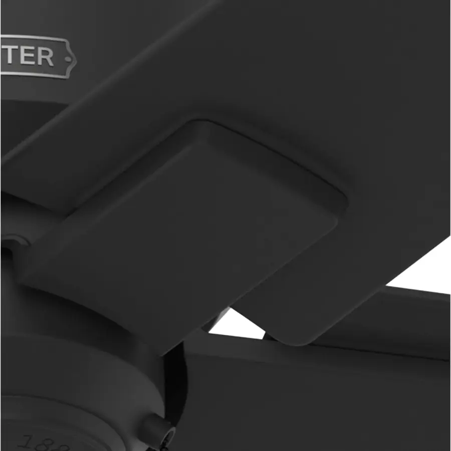 The Ceiling Fans by Hunter - Image 21