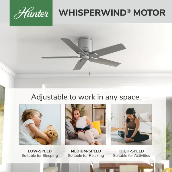 The Ceiling Fans by Hunter - Image 31