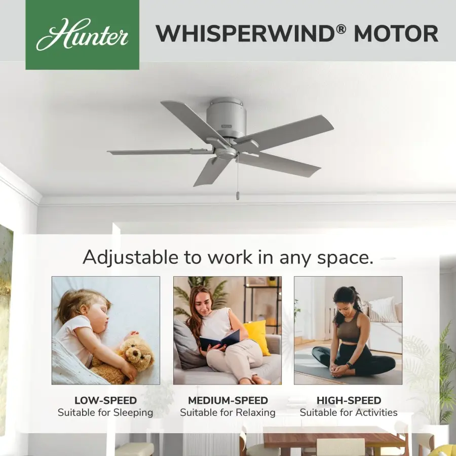 The Ceiling Fans by Hunter - Image 31